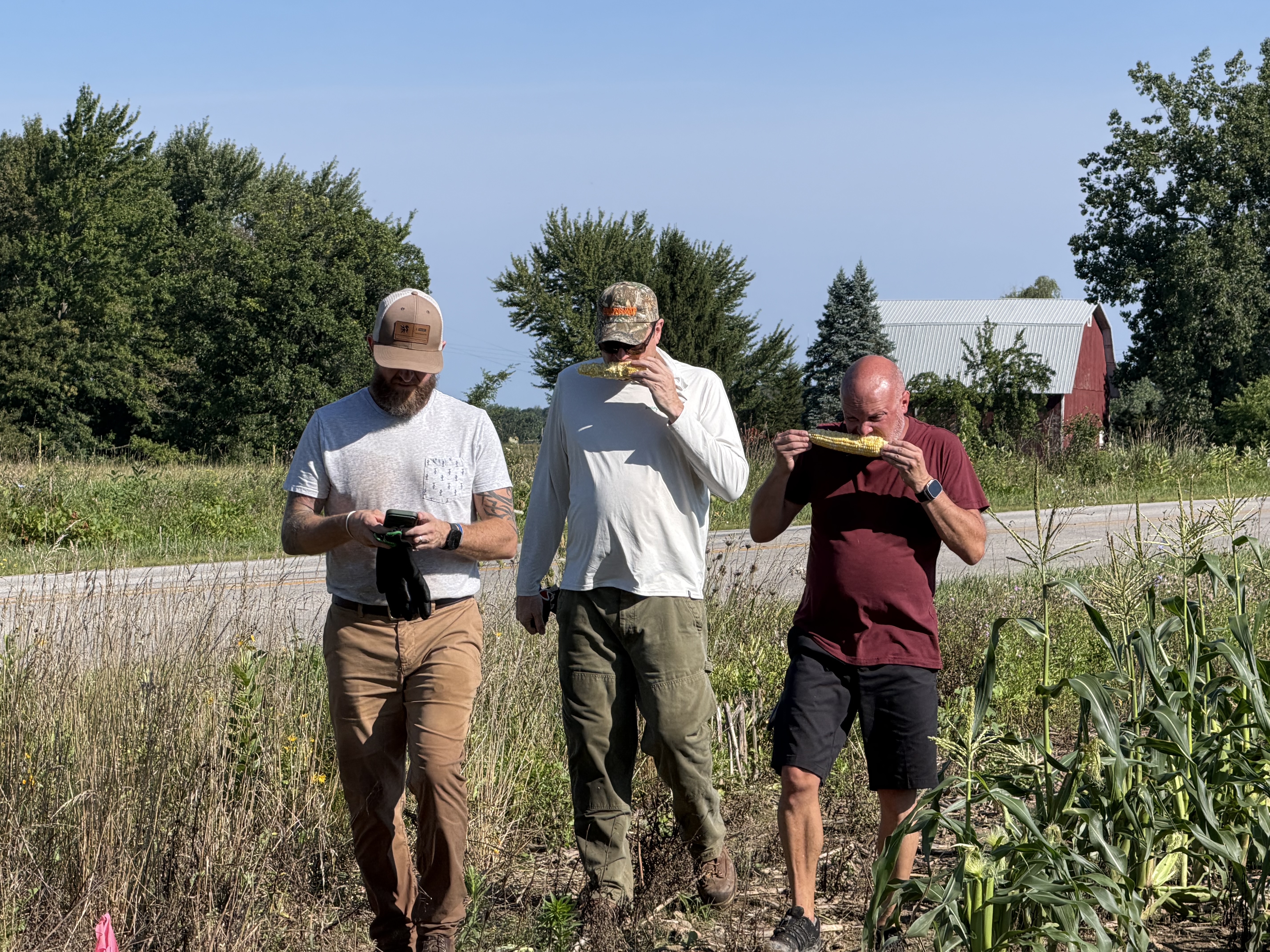 Harvest Week: Four Guys and Our First Sweet Corn Harvest